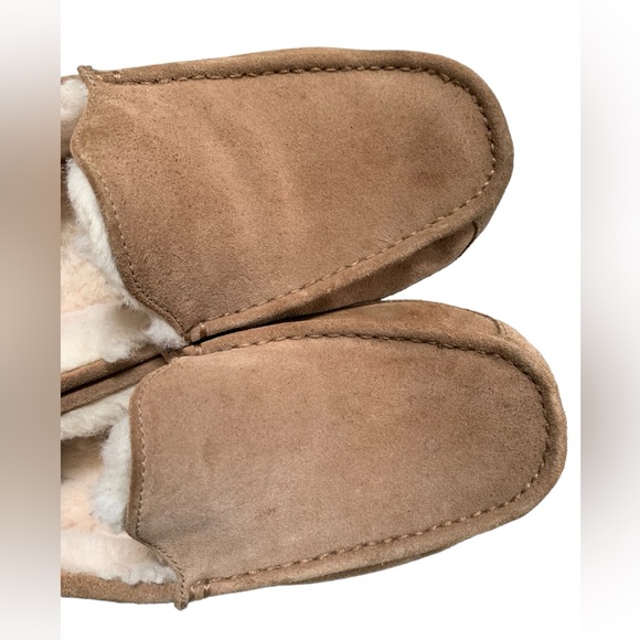 Men’s Ugg Ascot Slipper EUC - Picture 6 of 11